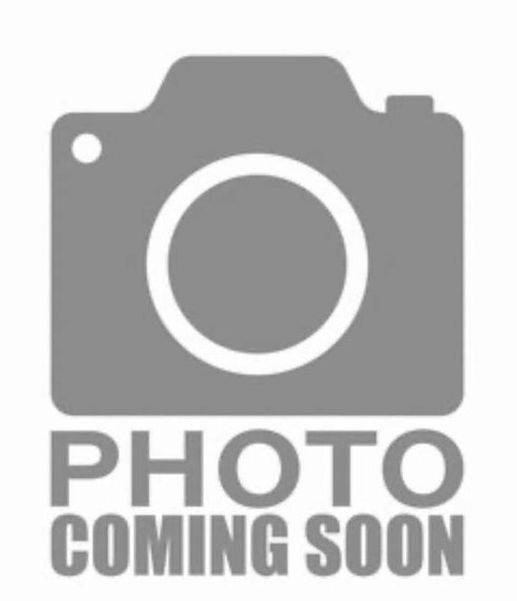 TOYOTA SCION TC 2009 JTKDE167790301027 image
